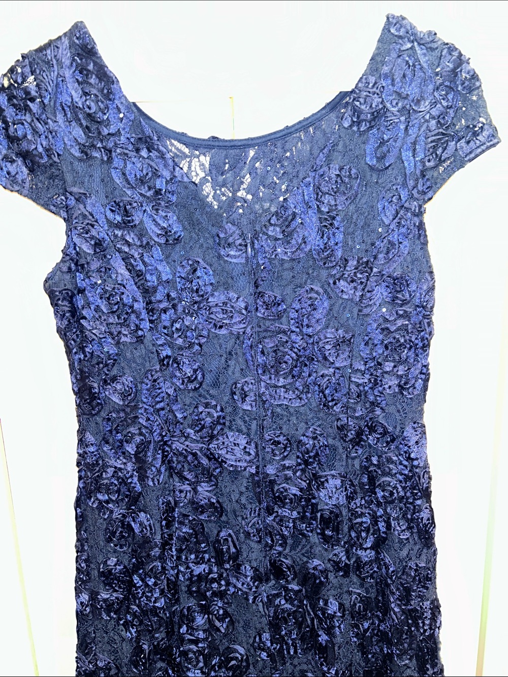Alex Evenings Navy Floral Lace A-Line Evening Dress